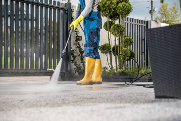 Best Fence Pressure Washing  in Central City, IA