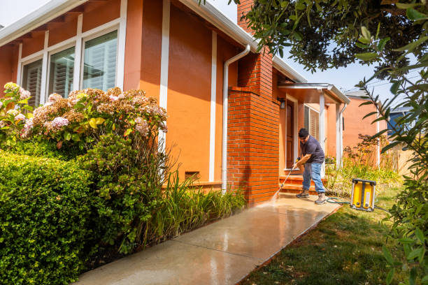Best Roof Pressure Washing  in Central City, IA